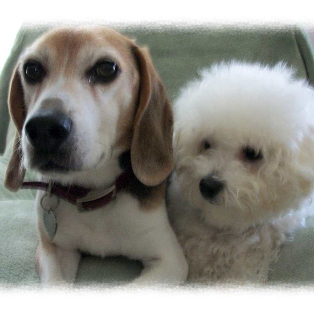 Meet your Posher, Karen